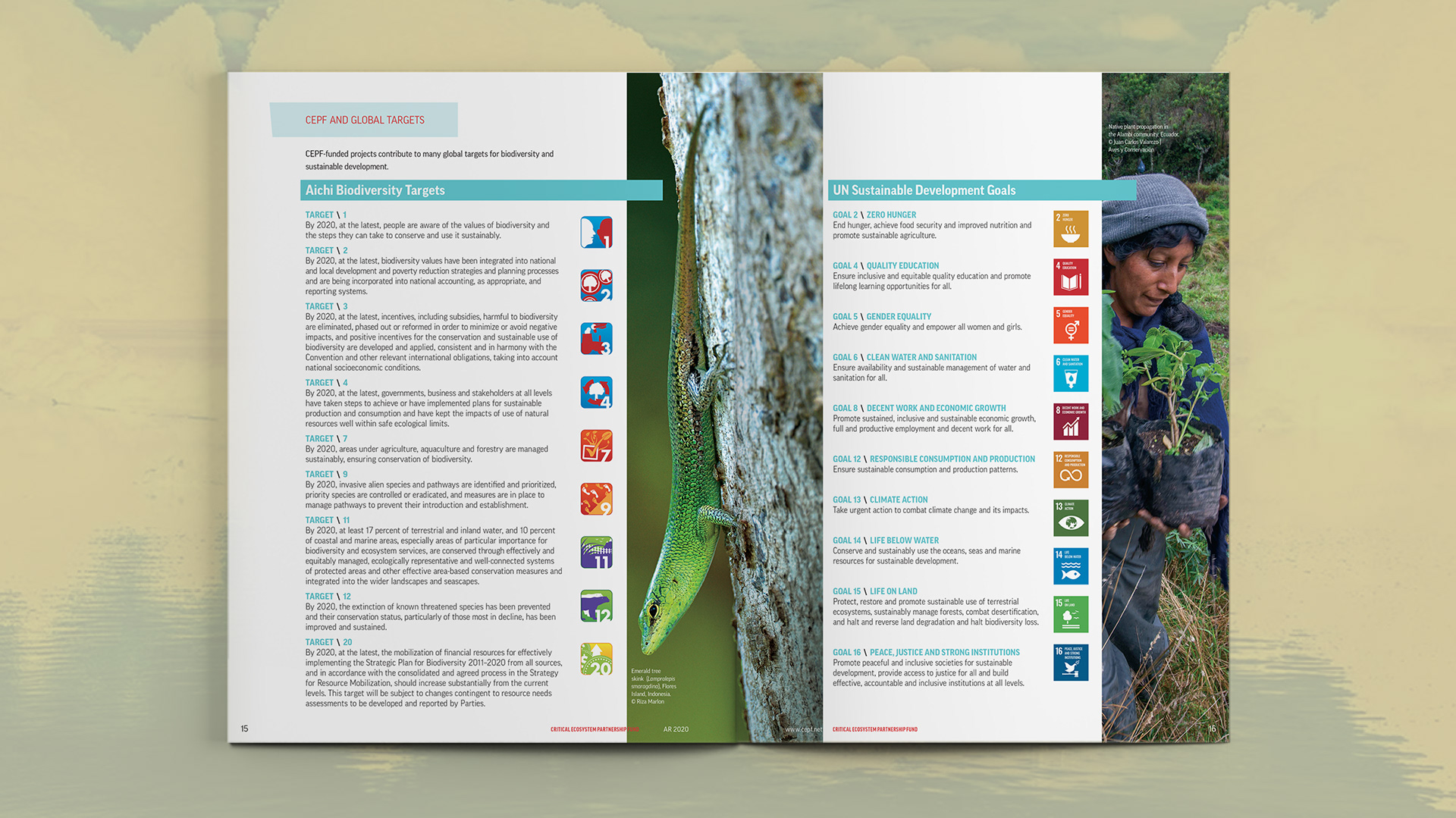 Spread features description of global targets as set out by the UN