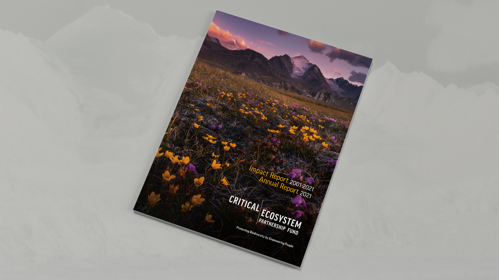 Front cover image of Barskoon Valley, Kyrgyzstan (Mountain ridge and flowered meadow at base)