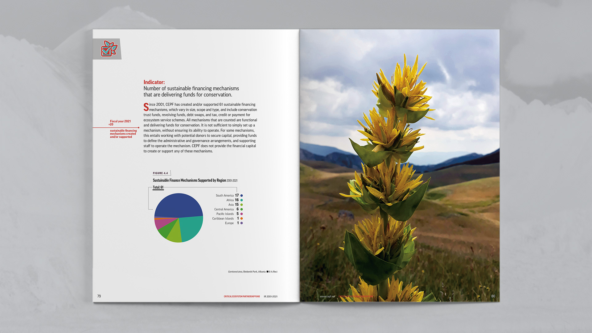 Indicator section focusing on number of sustainable financing mechanisms that are delivering funds for conservation