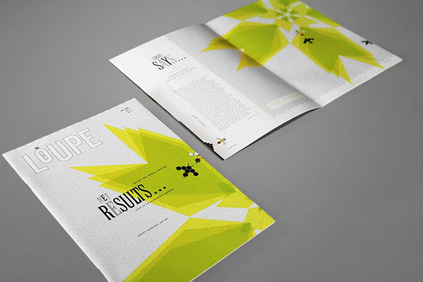 Illustration and Spread Layout