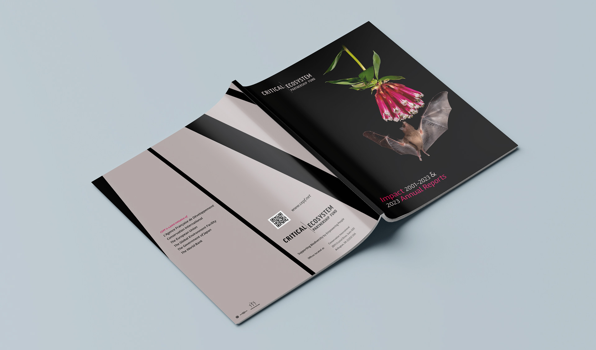 Front and back cover featuring image of a Tube-lipped tailless bat getting nectar from a flower