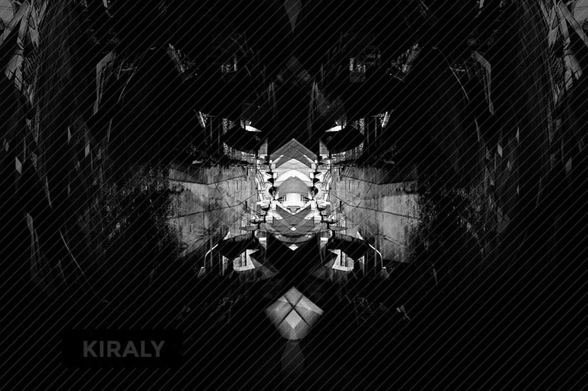 Lion formed from bridge pictures