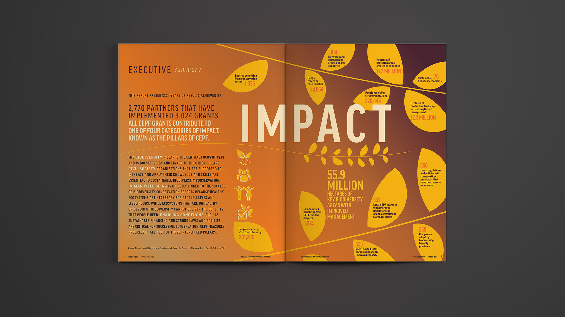 Opening spread featuring an Executive Summary of statistical accomplishments