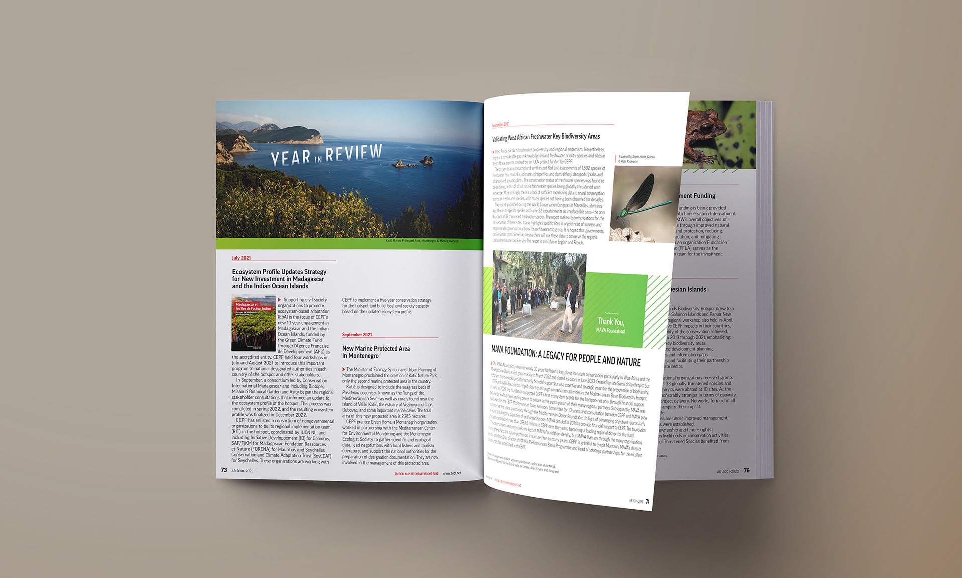 Year in review stories