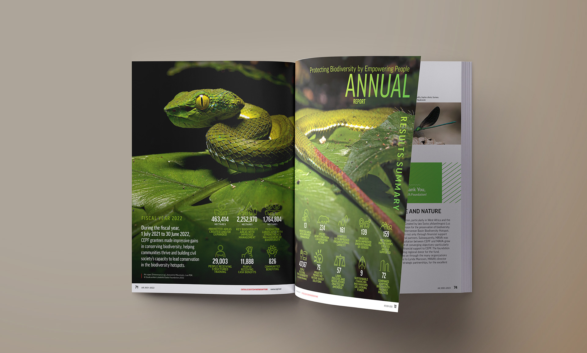 Spread Layout and Icon Illustrations