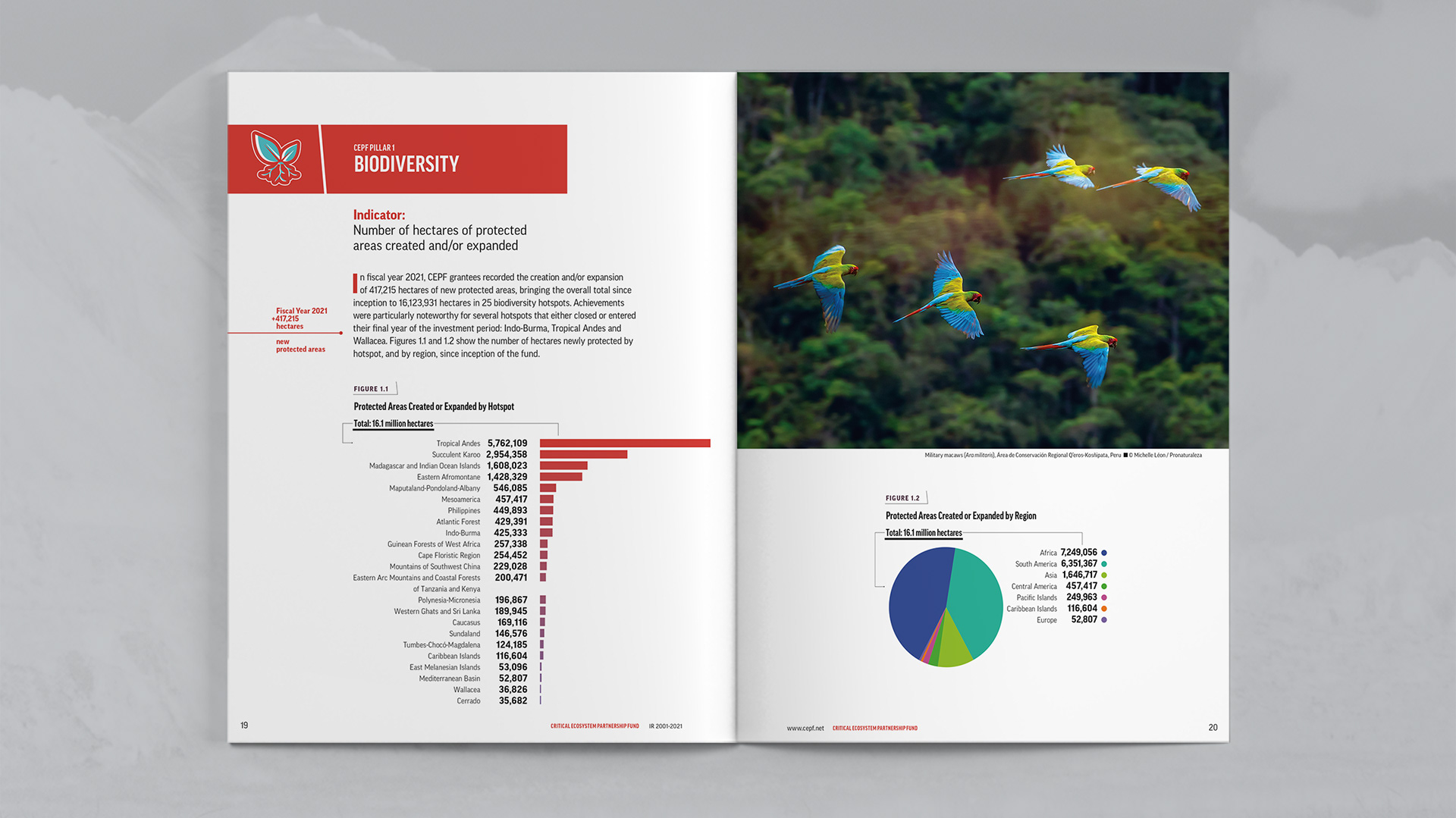 Pillar 1 Biodiversity opening spread