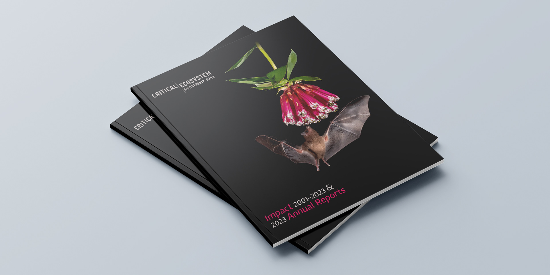Front cover, of dual Impact and Annual Report, featuring image of a Tube-lipped tailless bat getting nectar from a flower