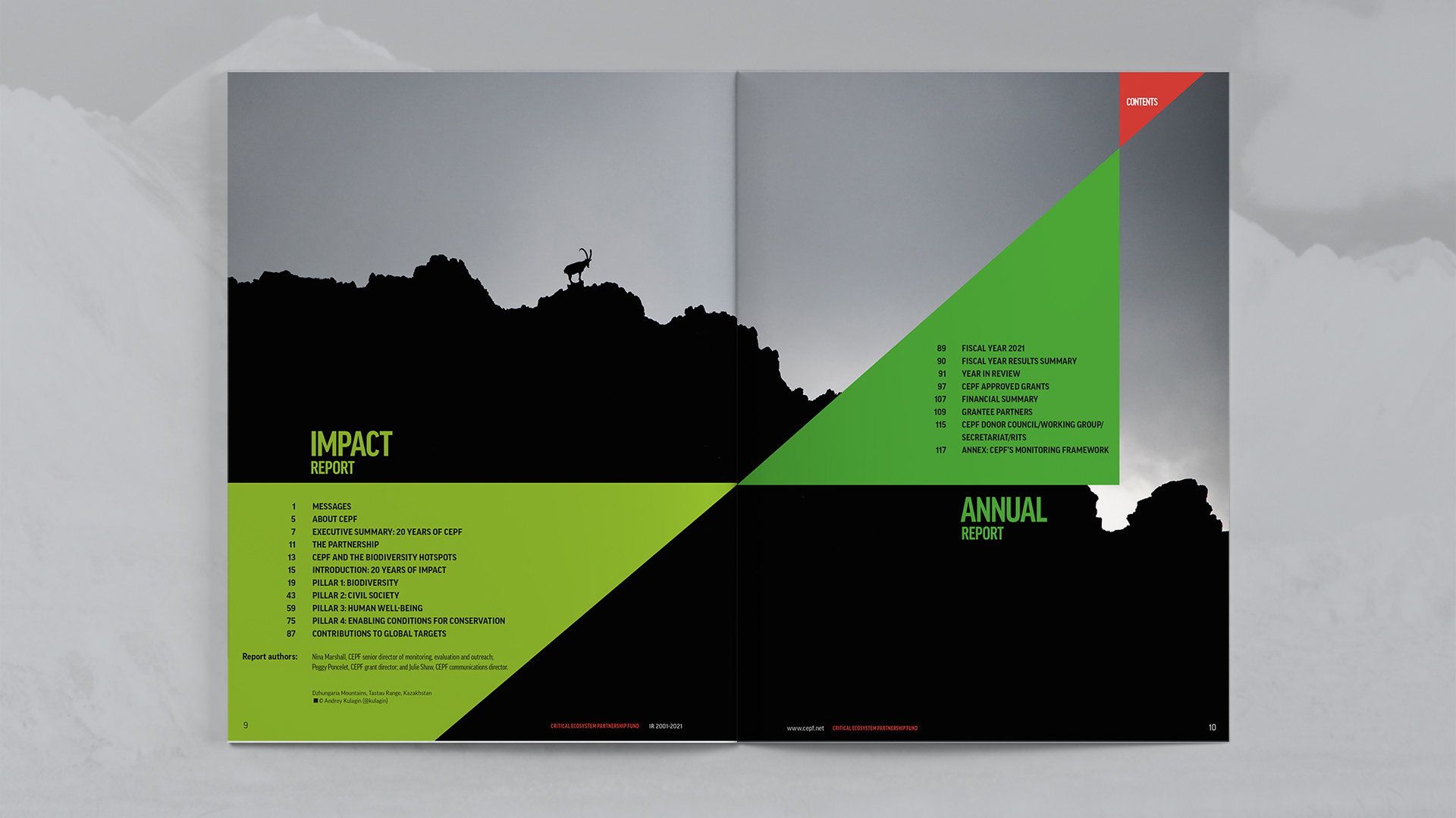 Fifth spread is the Table of Contents for the Impact Report and Annual Report