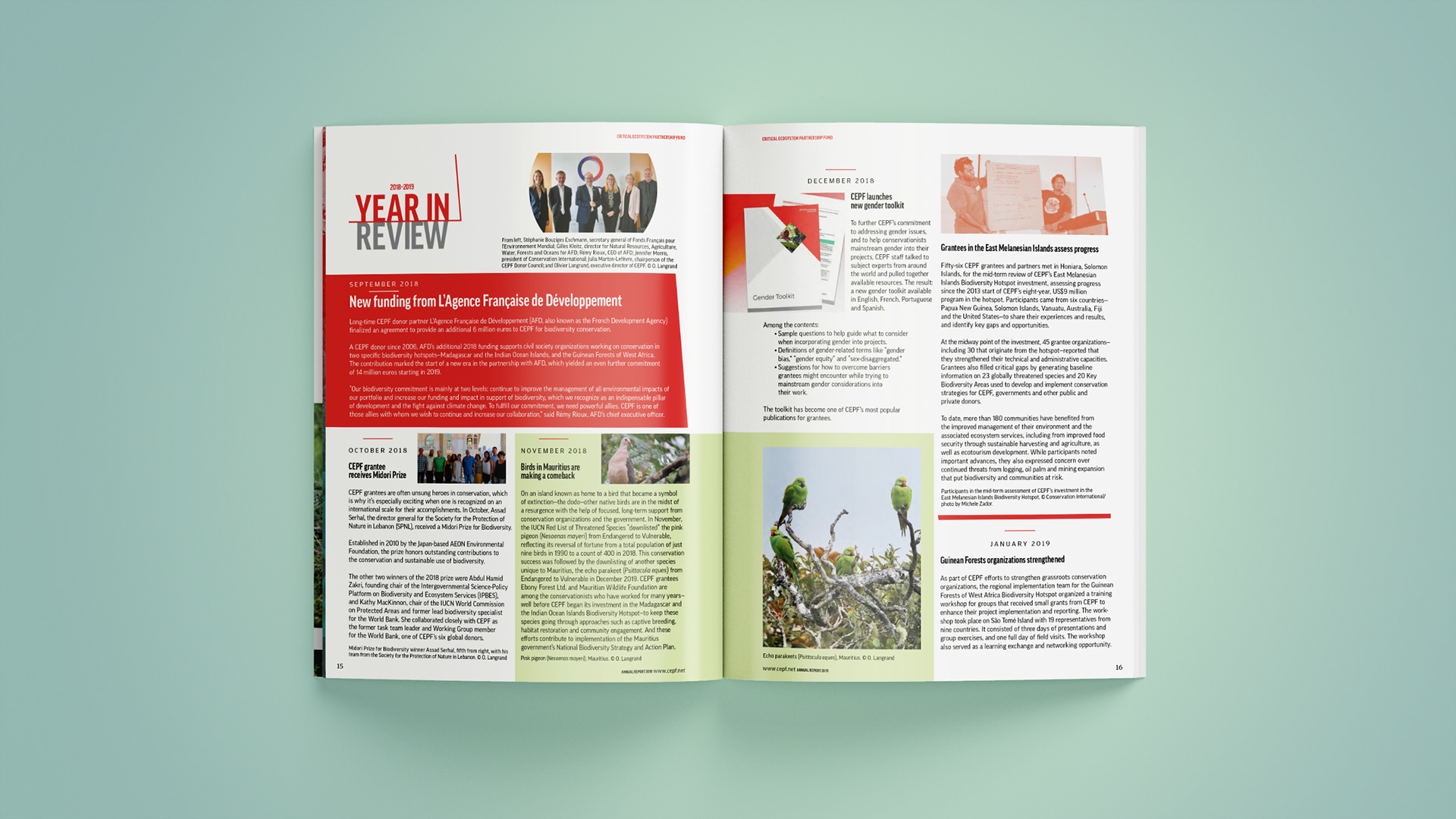 Year In Review content articles