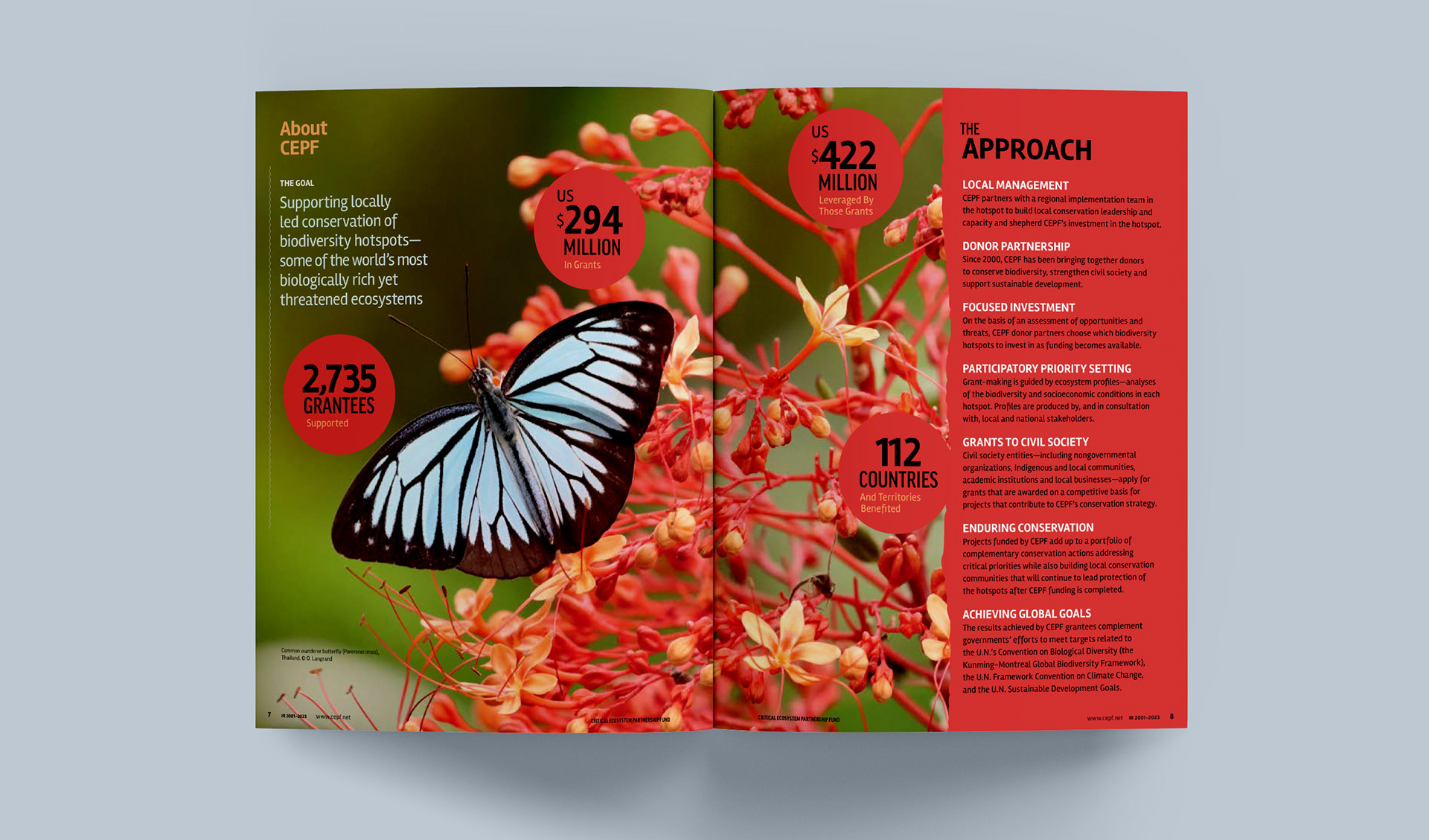 About the organization spread and featuring a colorful image of a butterfly on a plant
