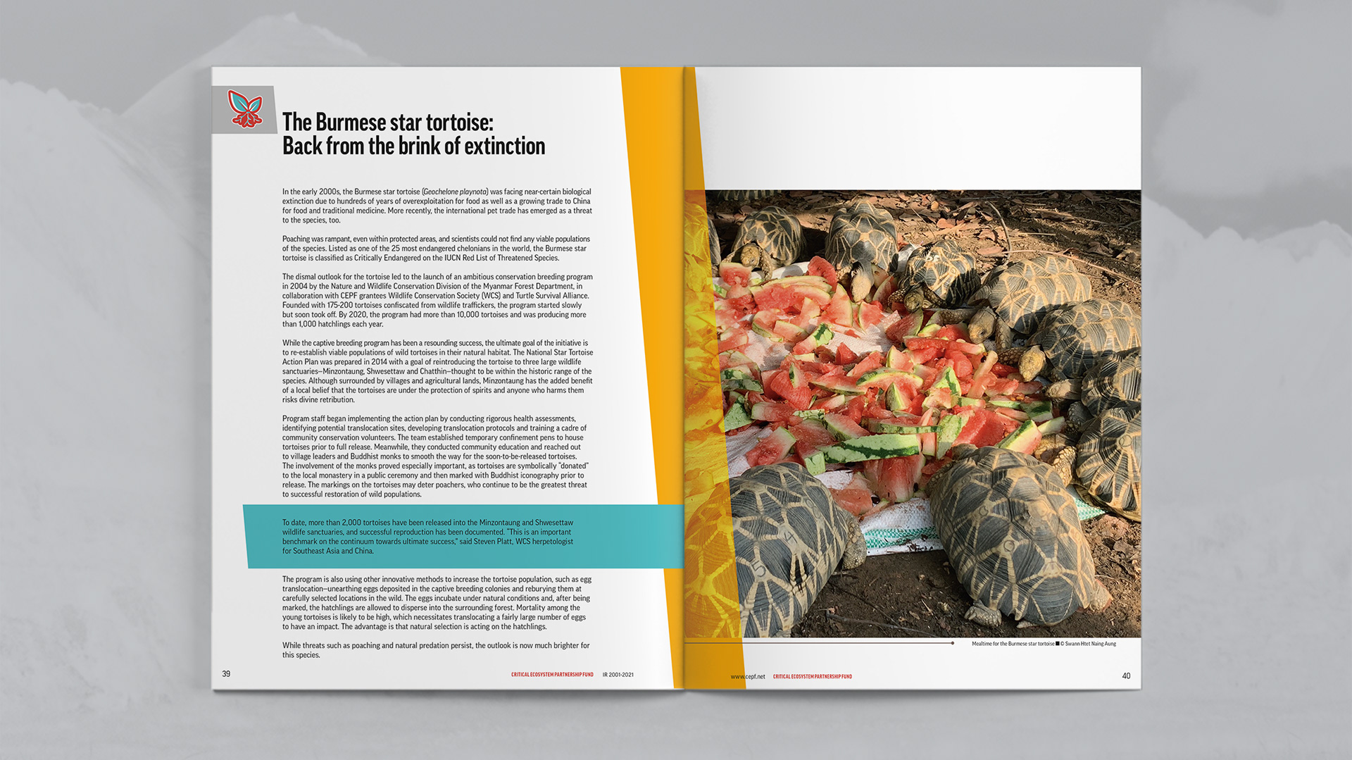 Case Study focused on the Burmese star tortoise: Back from the brink of extinction