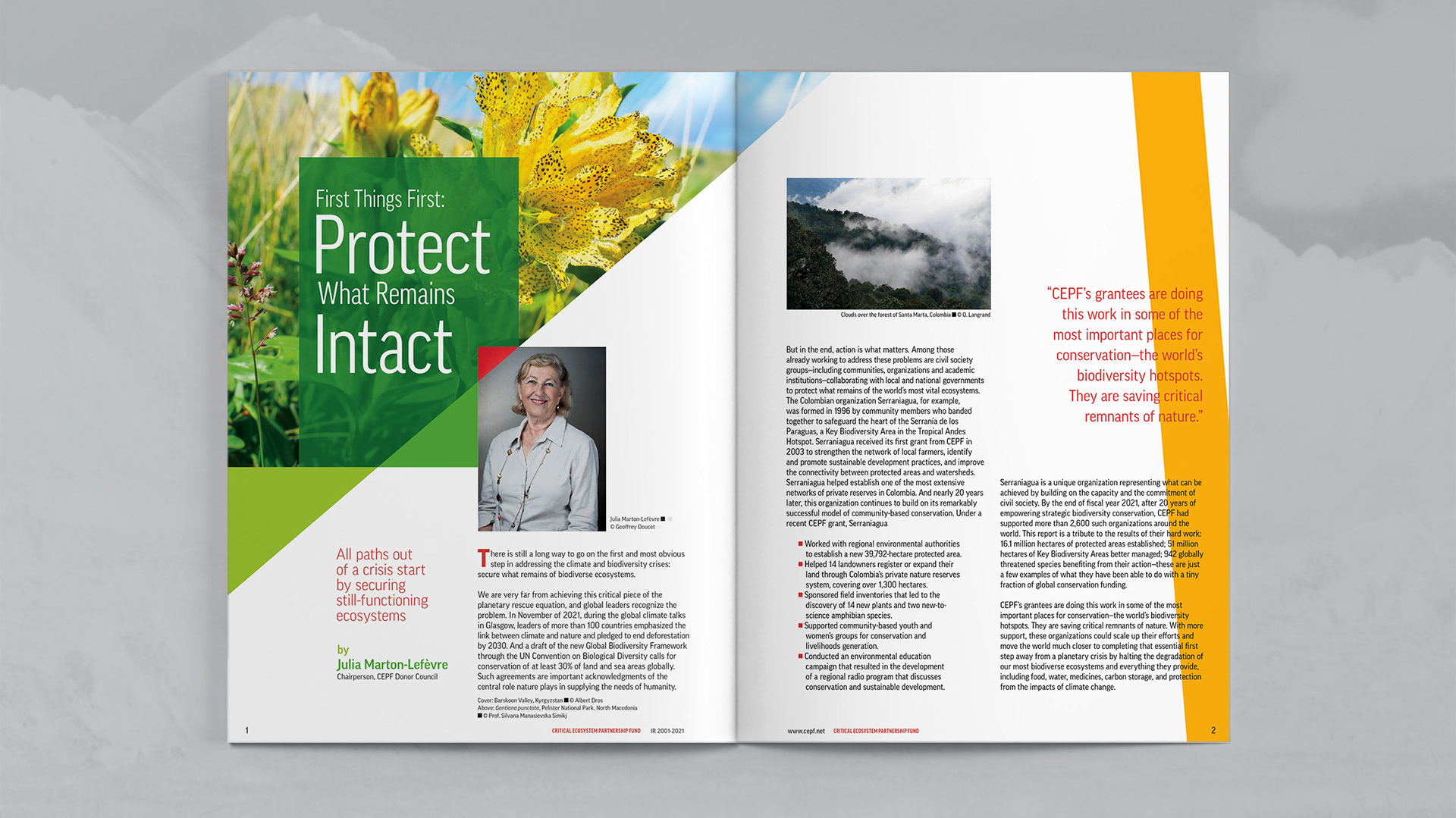 Opening spread featuring Chairperson letter titled "First Things First: Protect What Remains Intact"