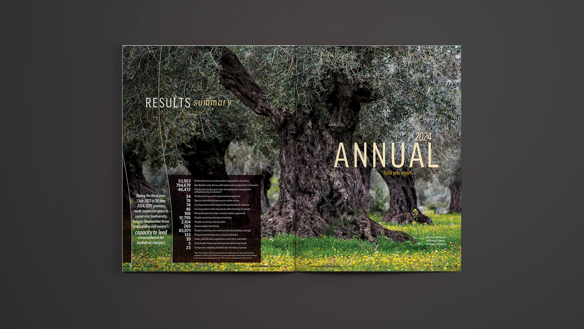Opening divider spread to introduce the Annual Report section