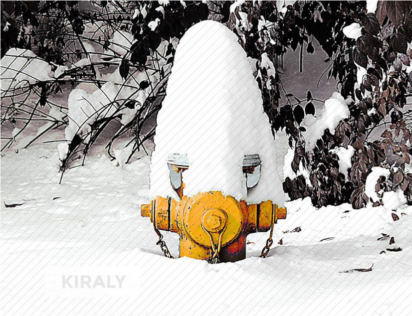Snow covered fire hydrant