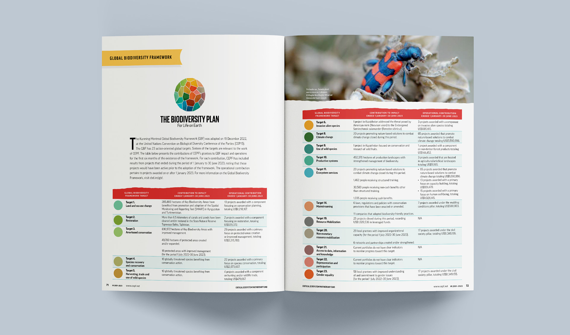 Spread listing out Global Biodiversity Framework in table format