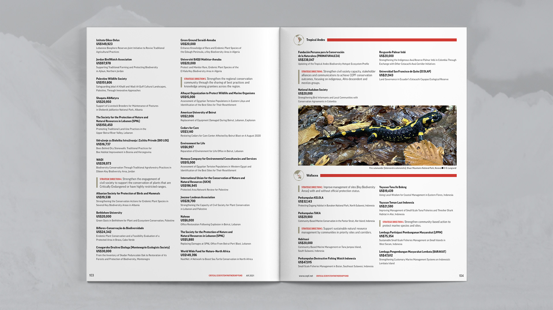 Fourth spread listing CEPF approved grants. Covering hotspots Mediterranean Basin, Tropical Andes and Wallacea