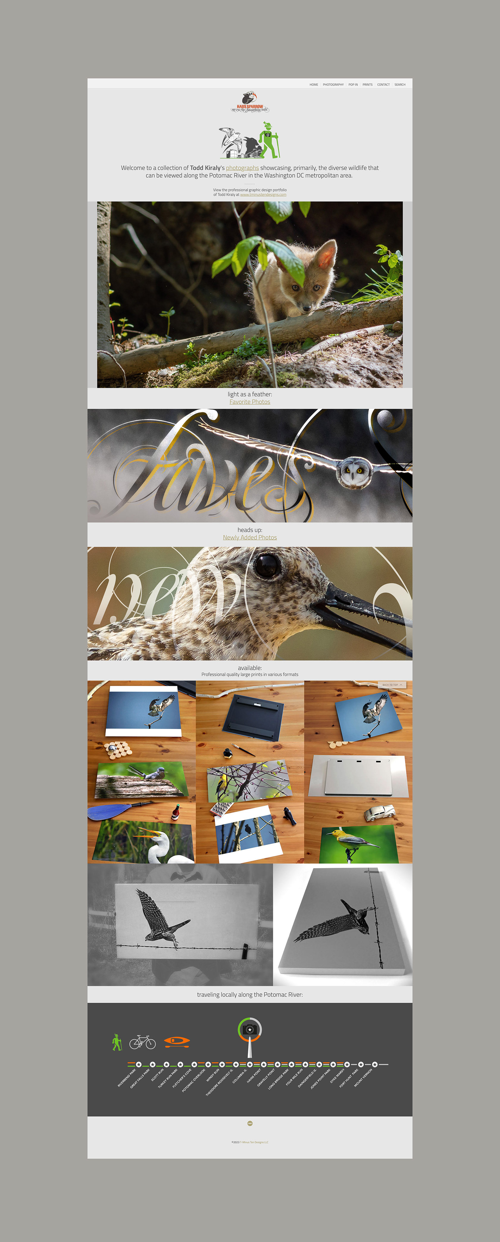 Enlarged view of website Home landing page