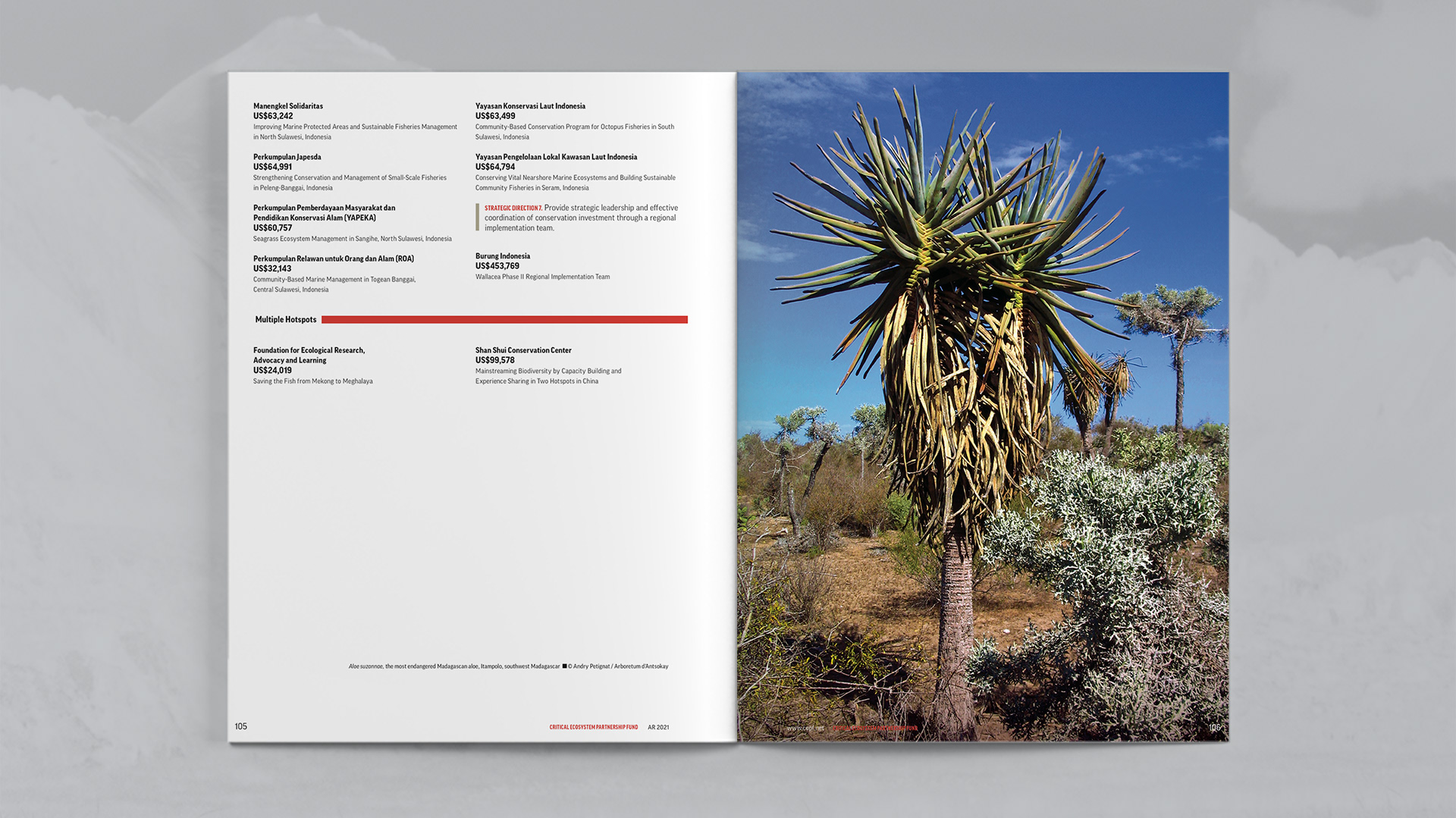 Fifth spread listing CEPF approved grants. Covering hotspots Wallacea and multiple hotspots