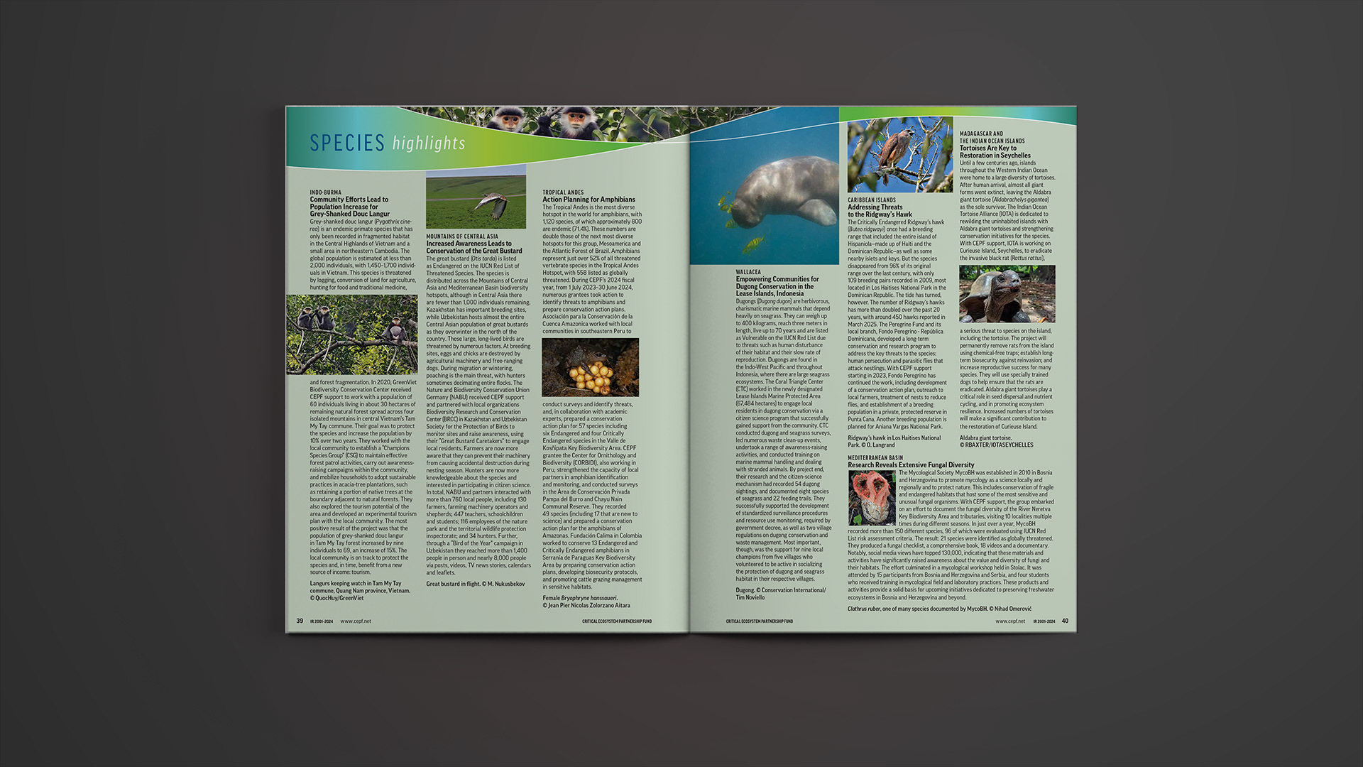 Spread highlighting special species in some of the hotspots