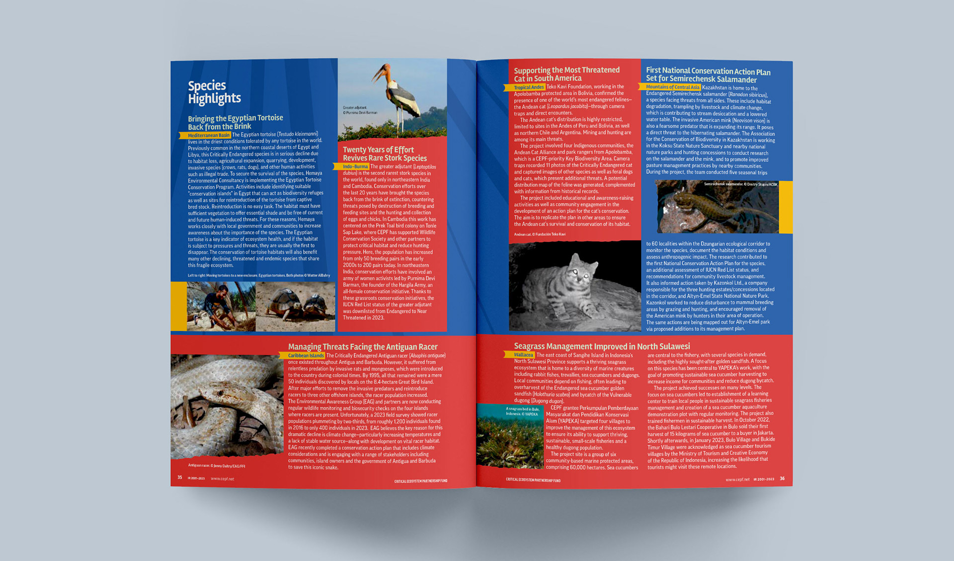 Spread highlighting various species such as the greater adjutant (stork), Egyptian tortoises, Antiguan Racer, Andean cat, Semirechensk Salamander, and seagrass in North Sulawesi