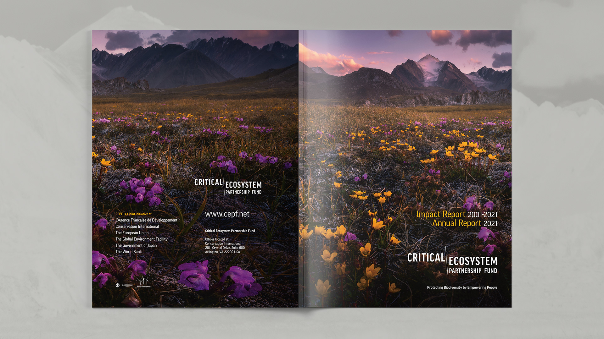 Image of both back and front cover photo of Barskoon Valley, Kyrgyzstan (Mountain ridge and flowered meadow at base)