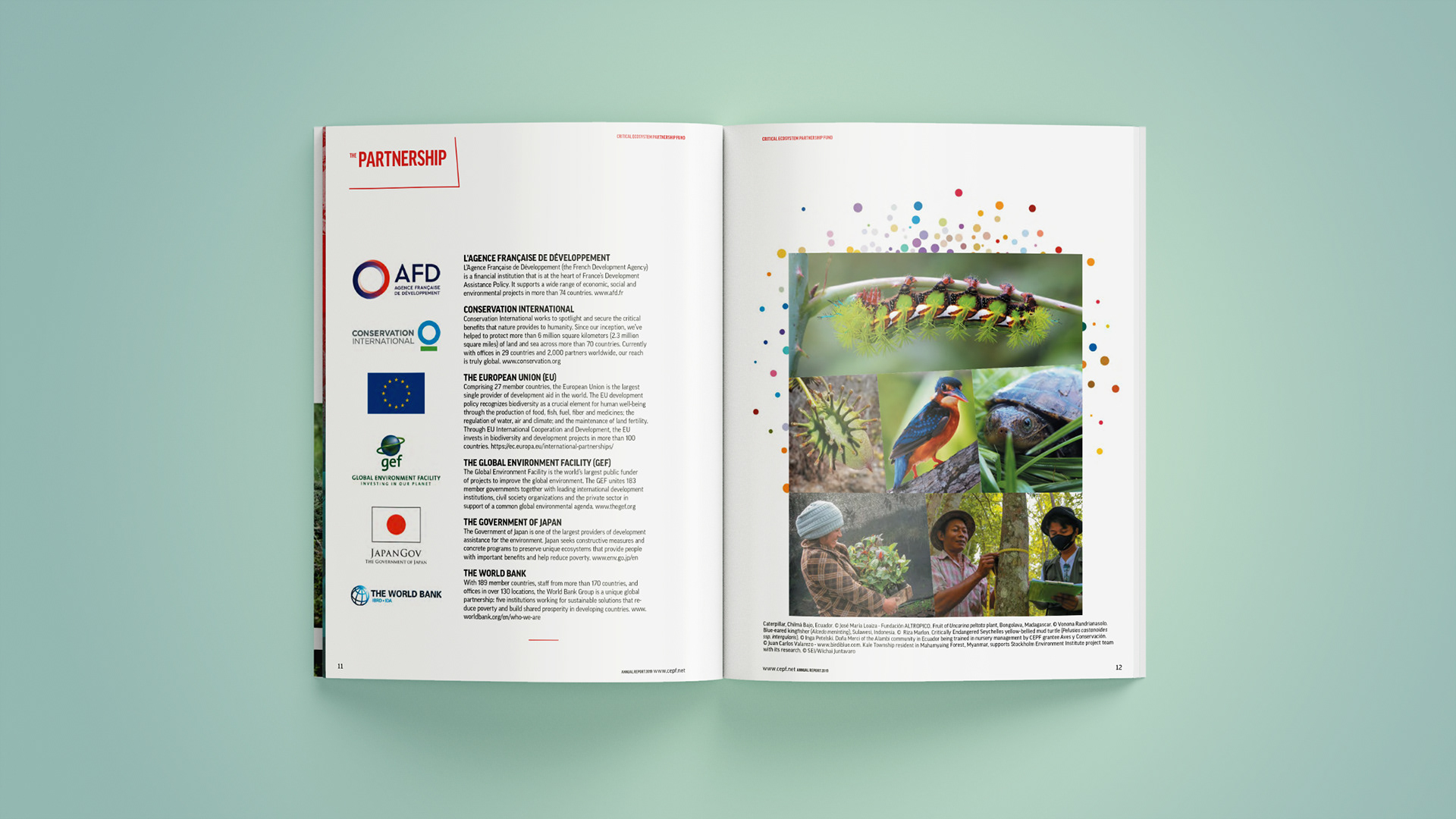 Spread introducing supporting partners