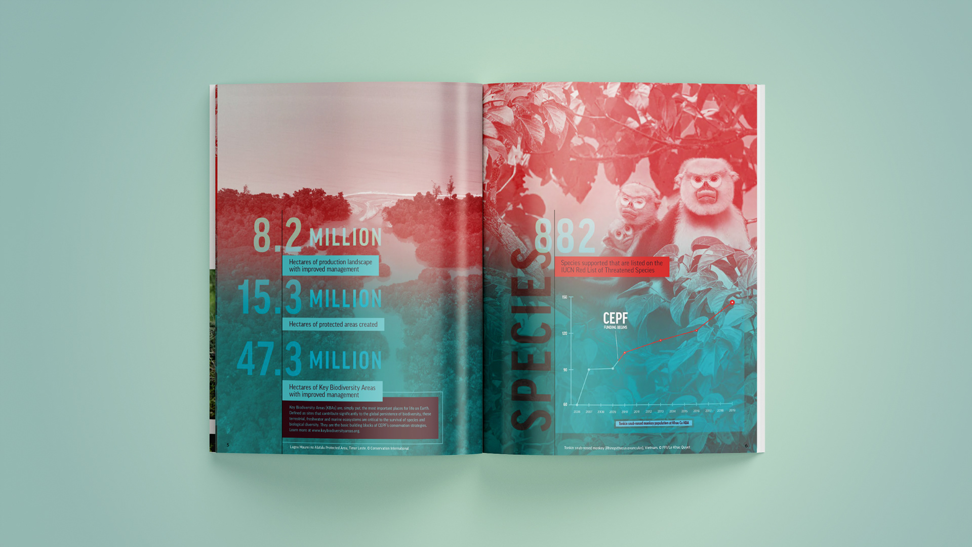 Spread that depicts some factoid results from the past year