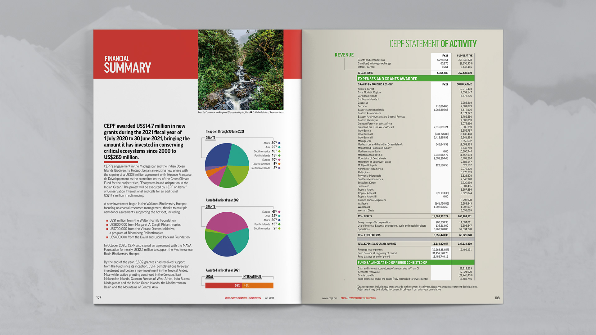 Financial Summary and Statement of Activity