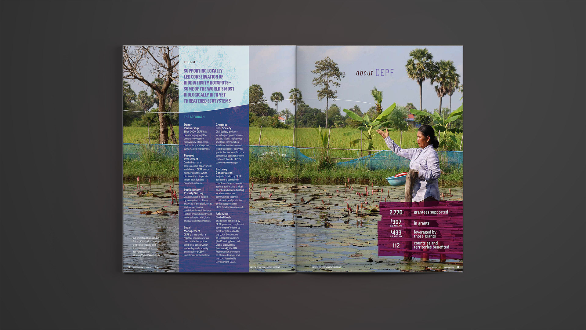 Spread about CEPF including goal and approach