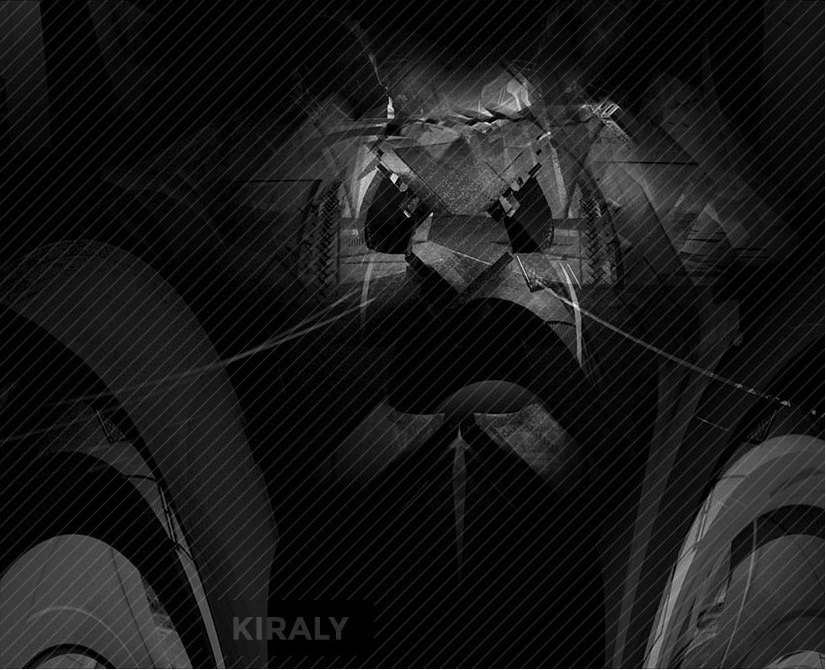 Panda looking image formed from bridge photos