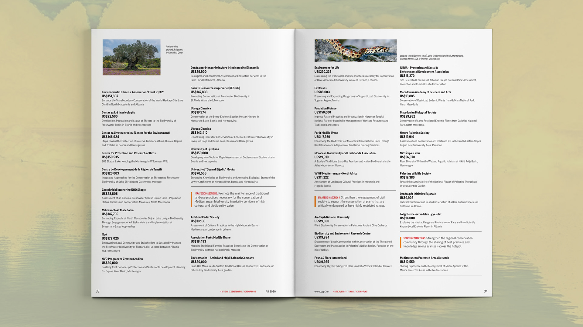 Additional spread listing out the awarded monetary grants by region