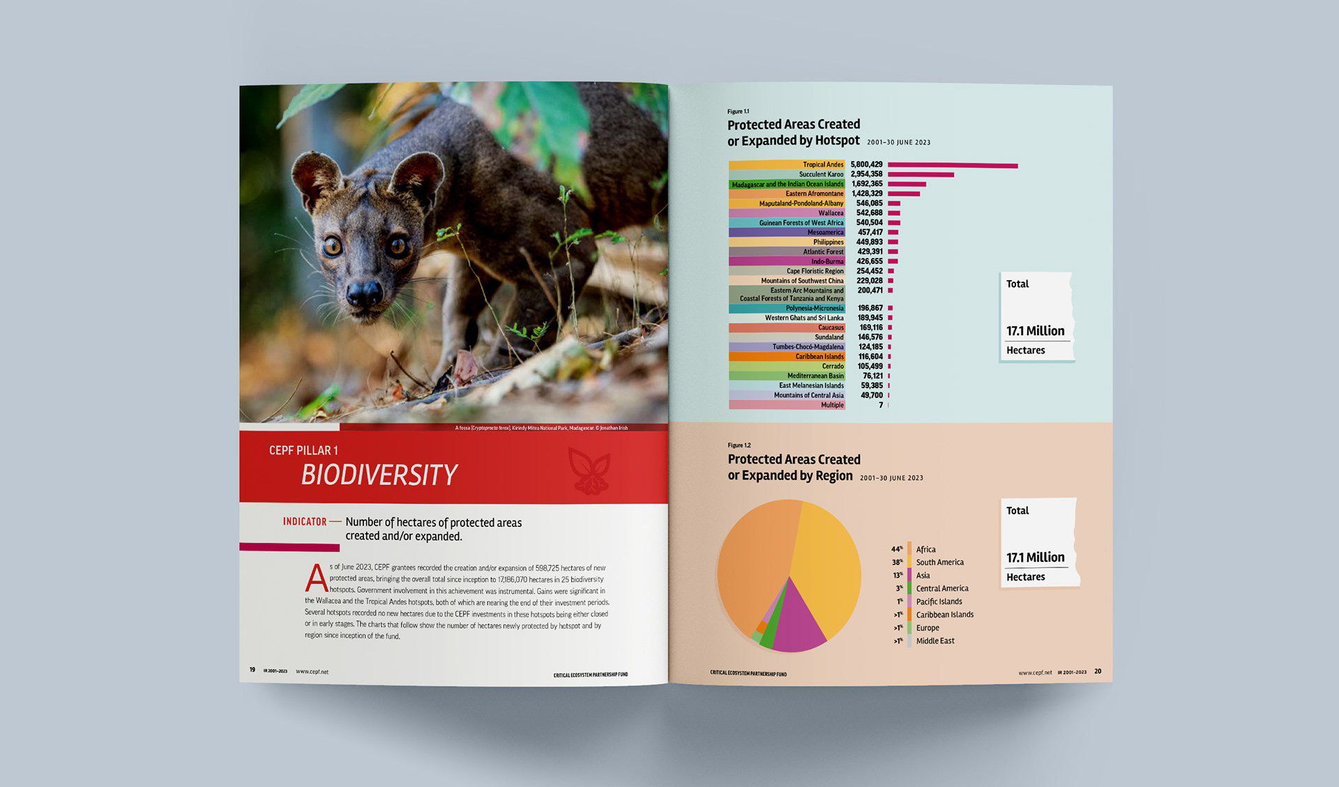 Pillar 1 intro featuring charts and a photo of a Fossa