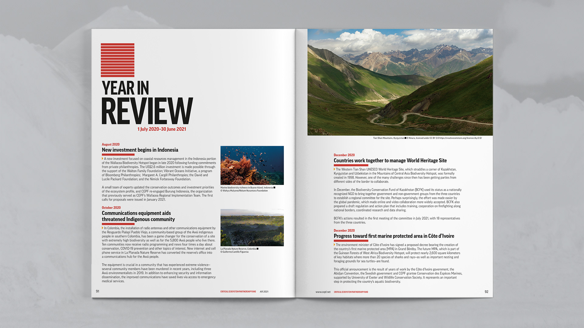 Year In Review opening section with articles from August through December 2020