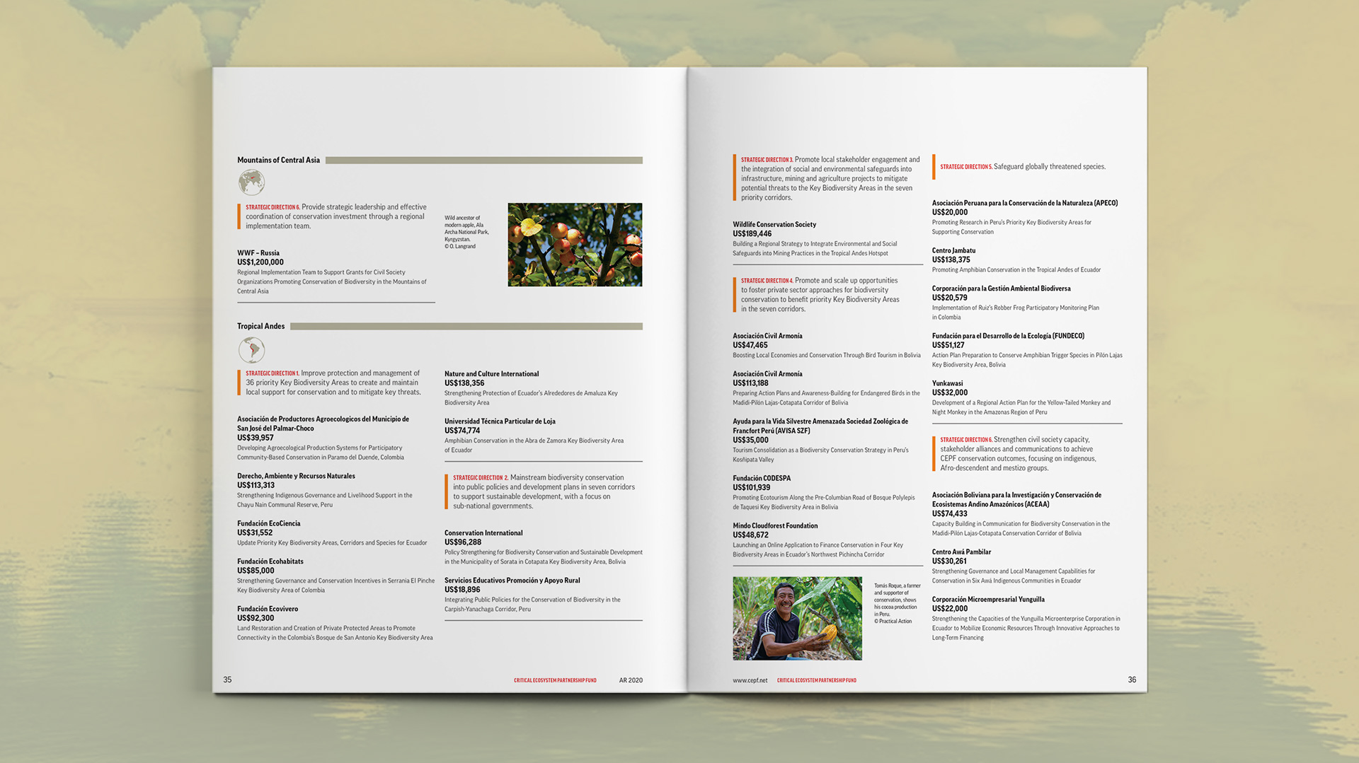 Additional spread listing out the awarded monetary grants by region