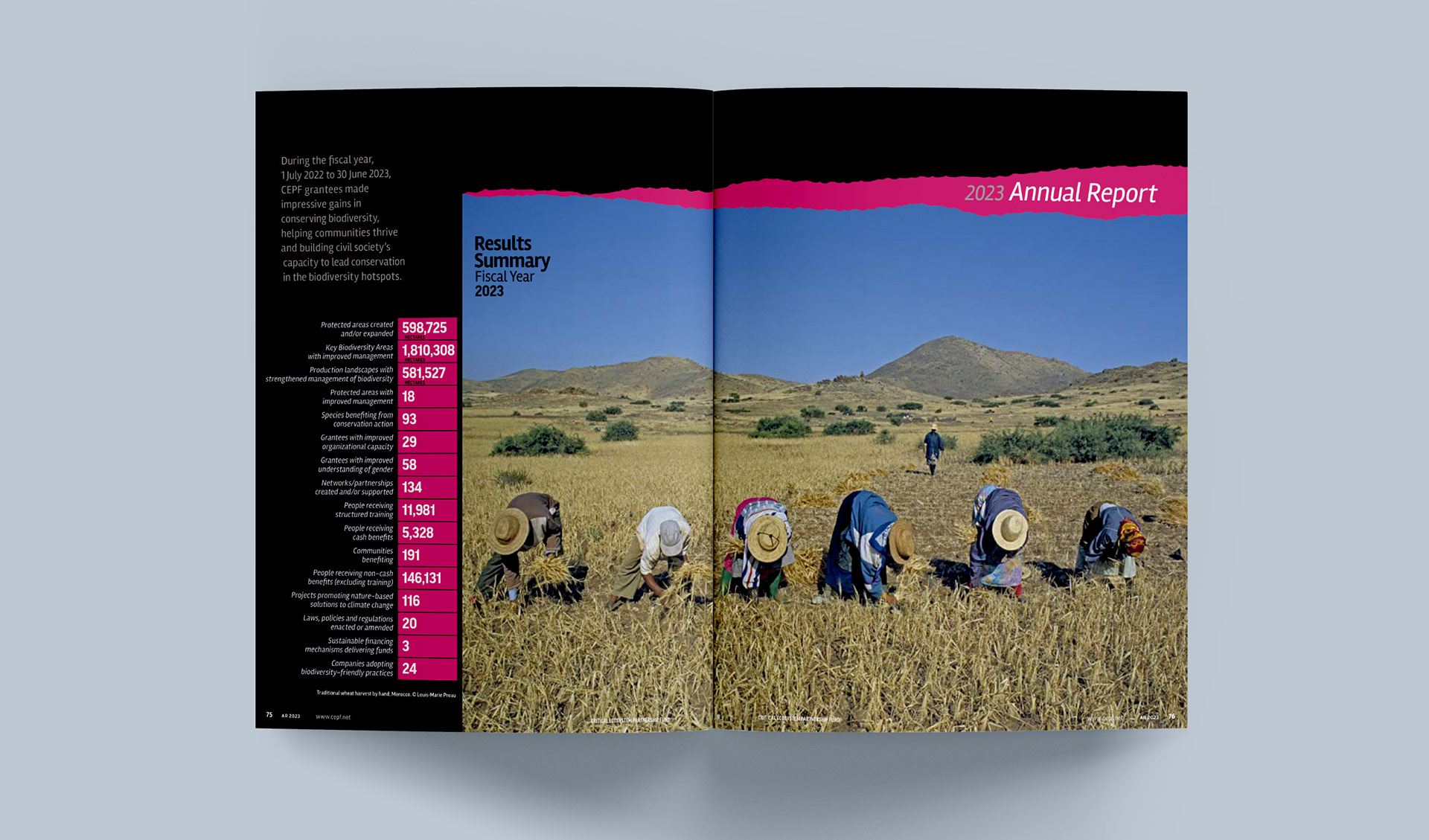 Introductory spread to Annual Report section featuring image of locals harvesting wheat in Morocco