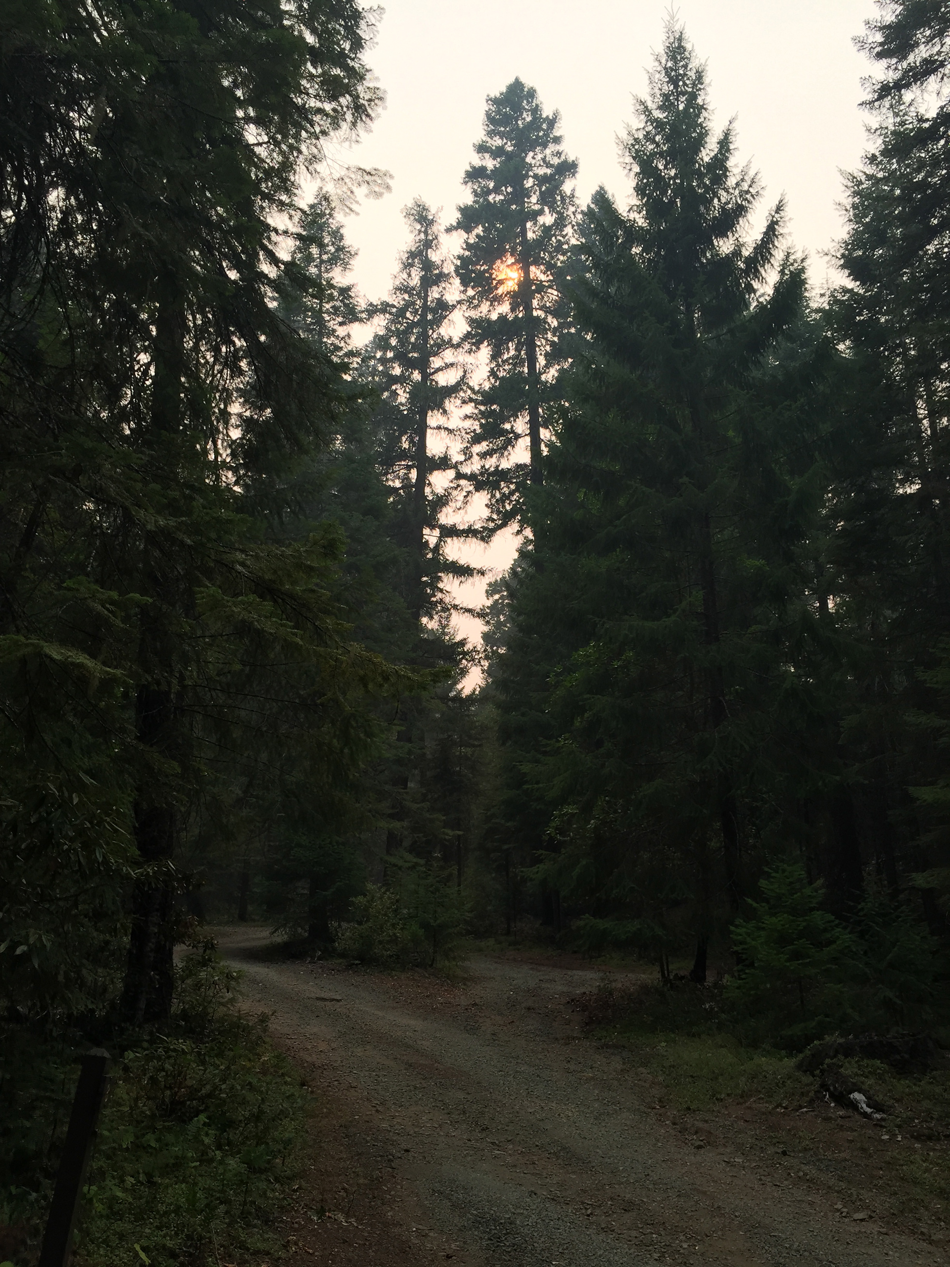 Evening at the campground of the damned. Notice the sun clouded in forest fire smoke. Very spooky.
