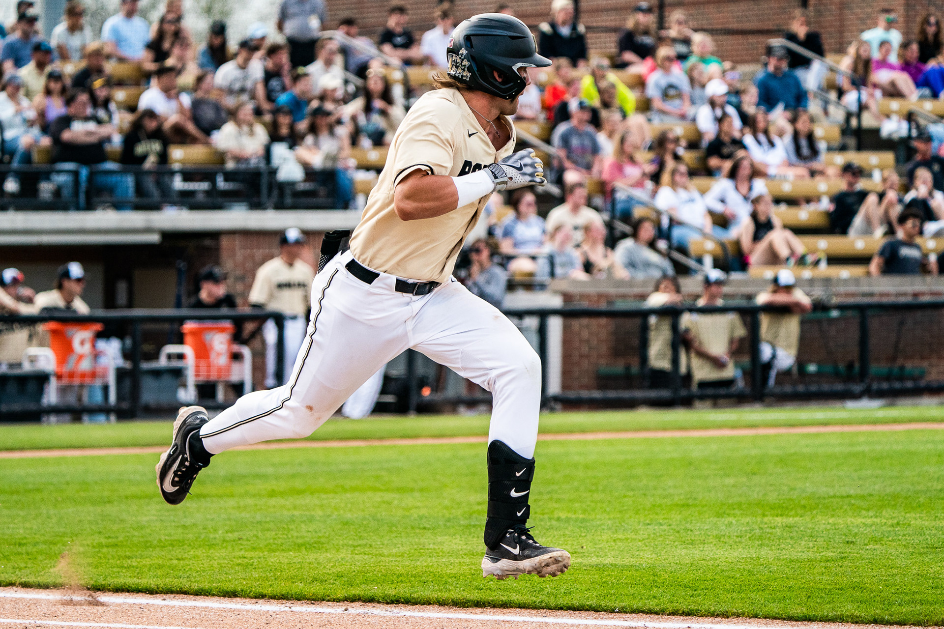 Paul Ward/Purdue Exponent