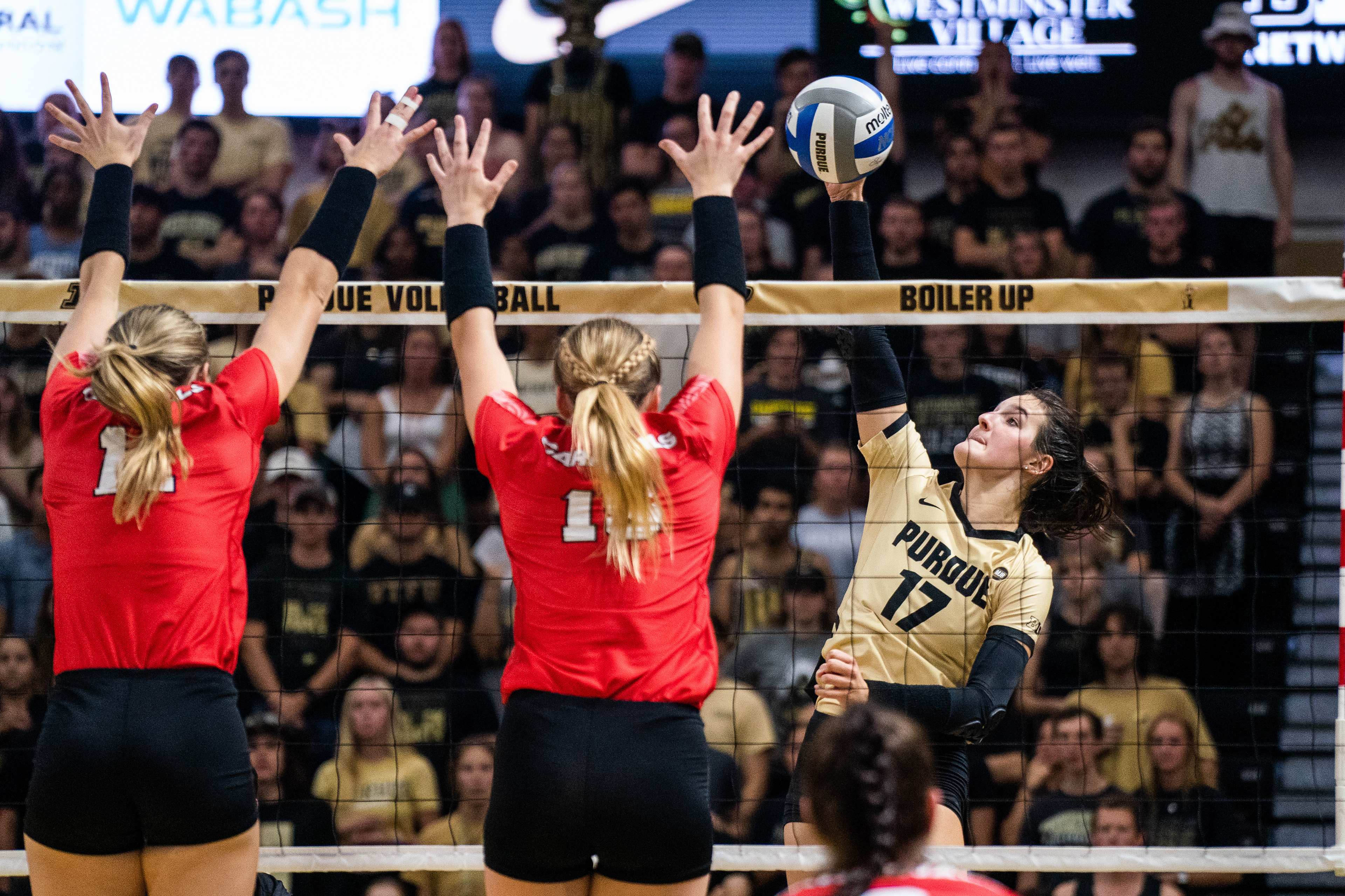 Paul Ward/Purdue Exponent