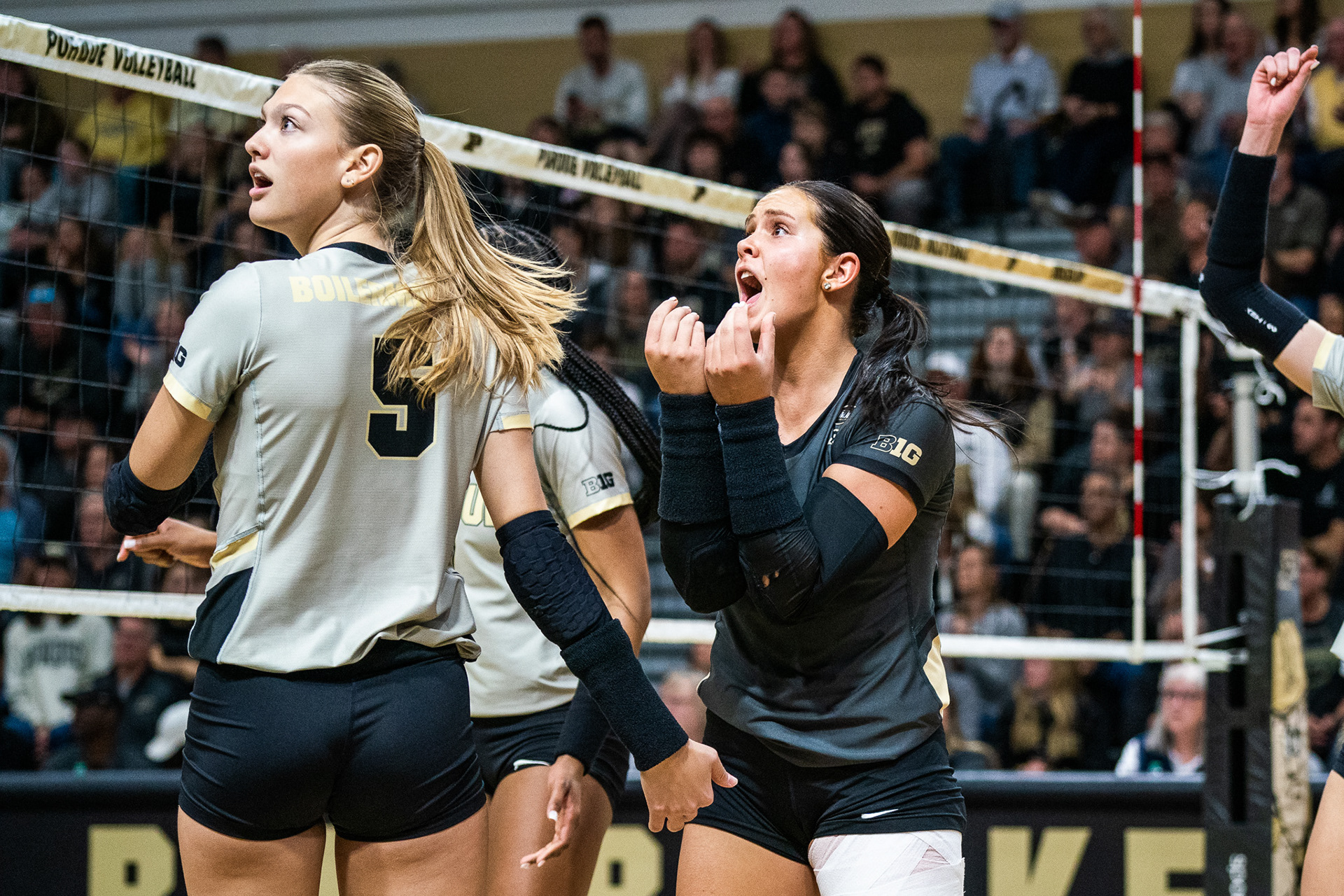 Paul Ward/Purdue Exponent