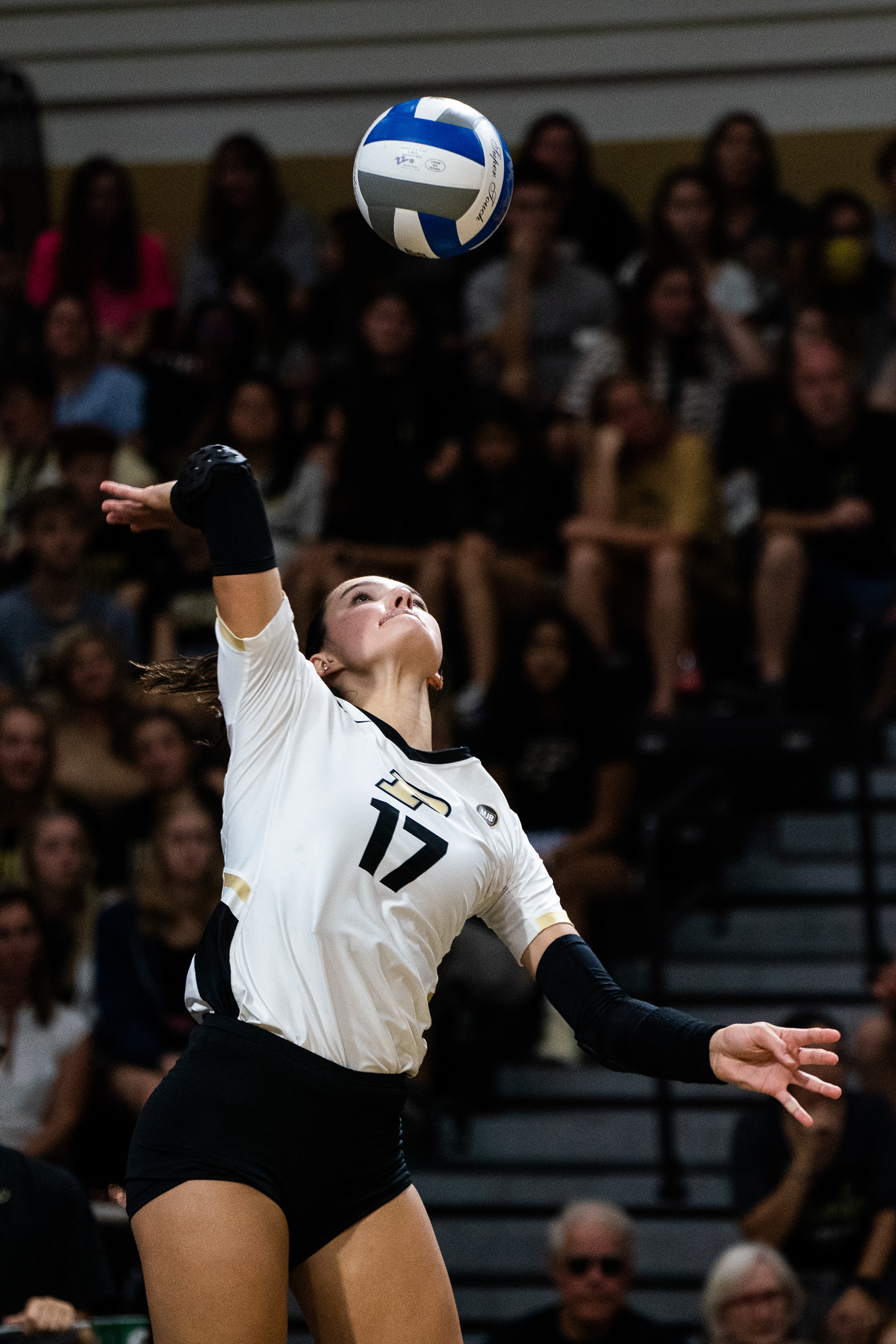 Paul Ward/Purdue Exponent
