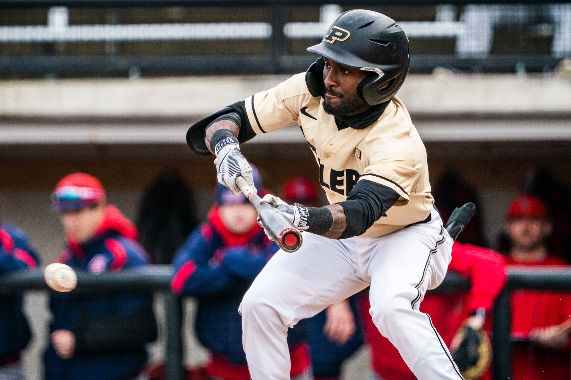 Paul Ward/Purdue Exponent