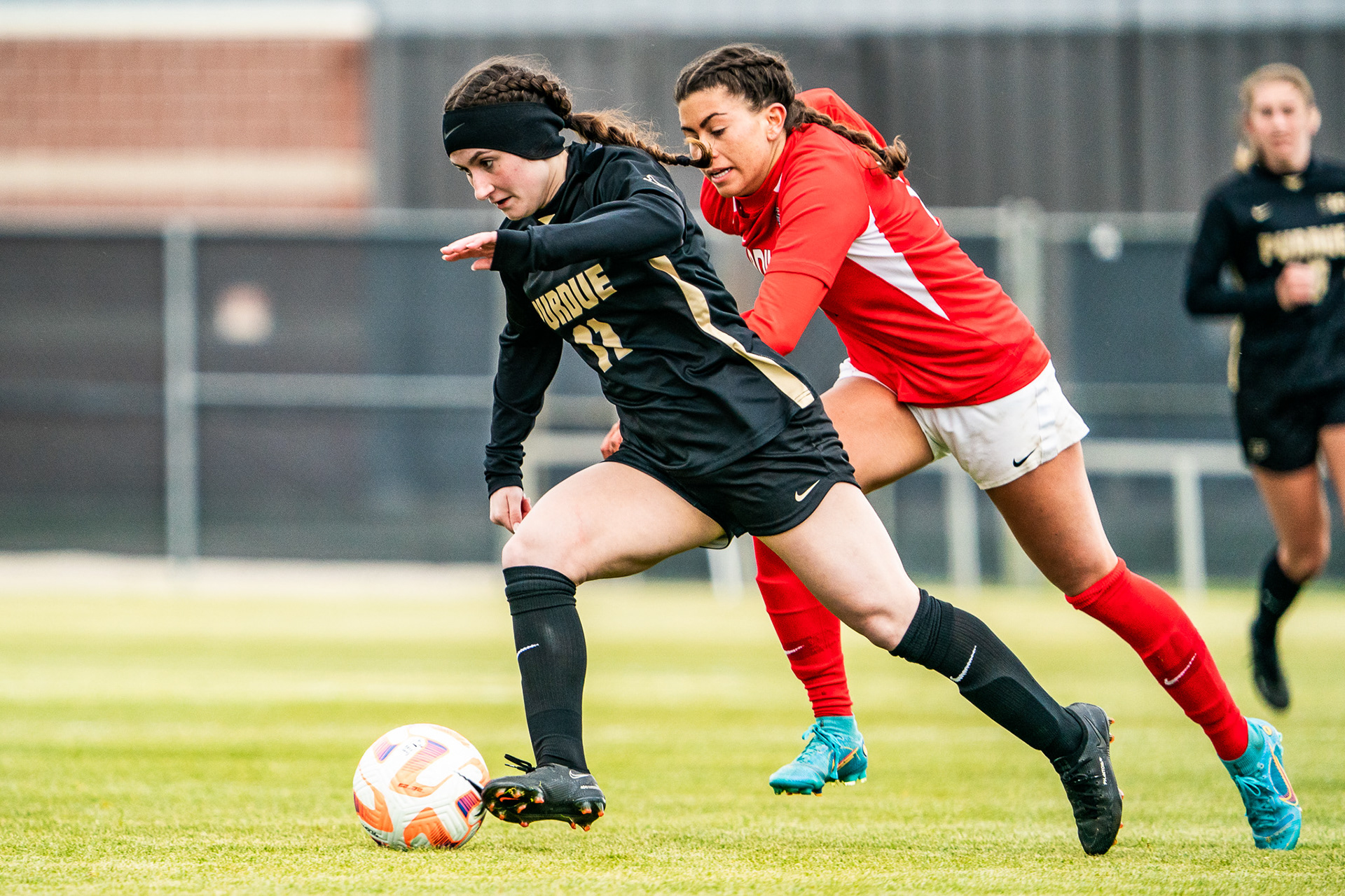 Pau Ward/Purdue Exponent
