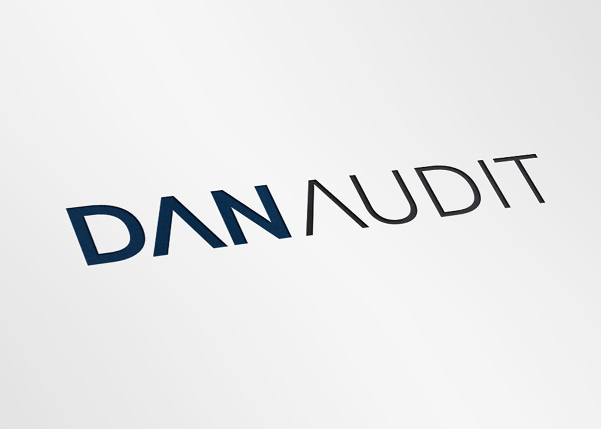 Danaudit