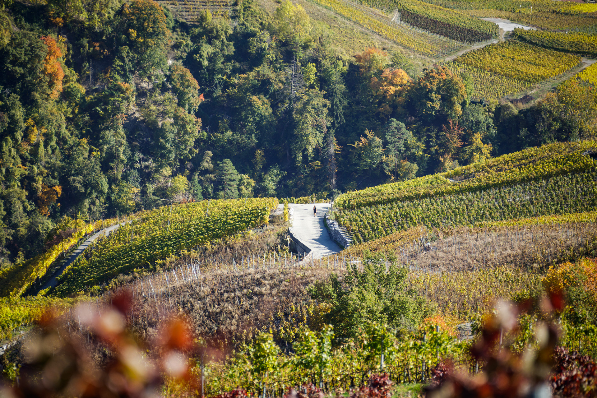 L'annonce d'une promesse ...