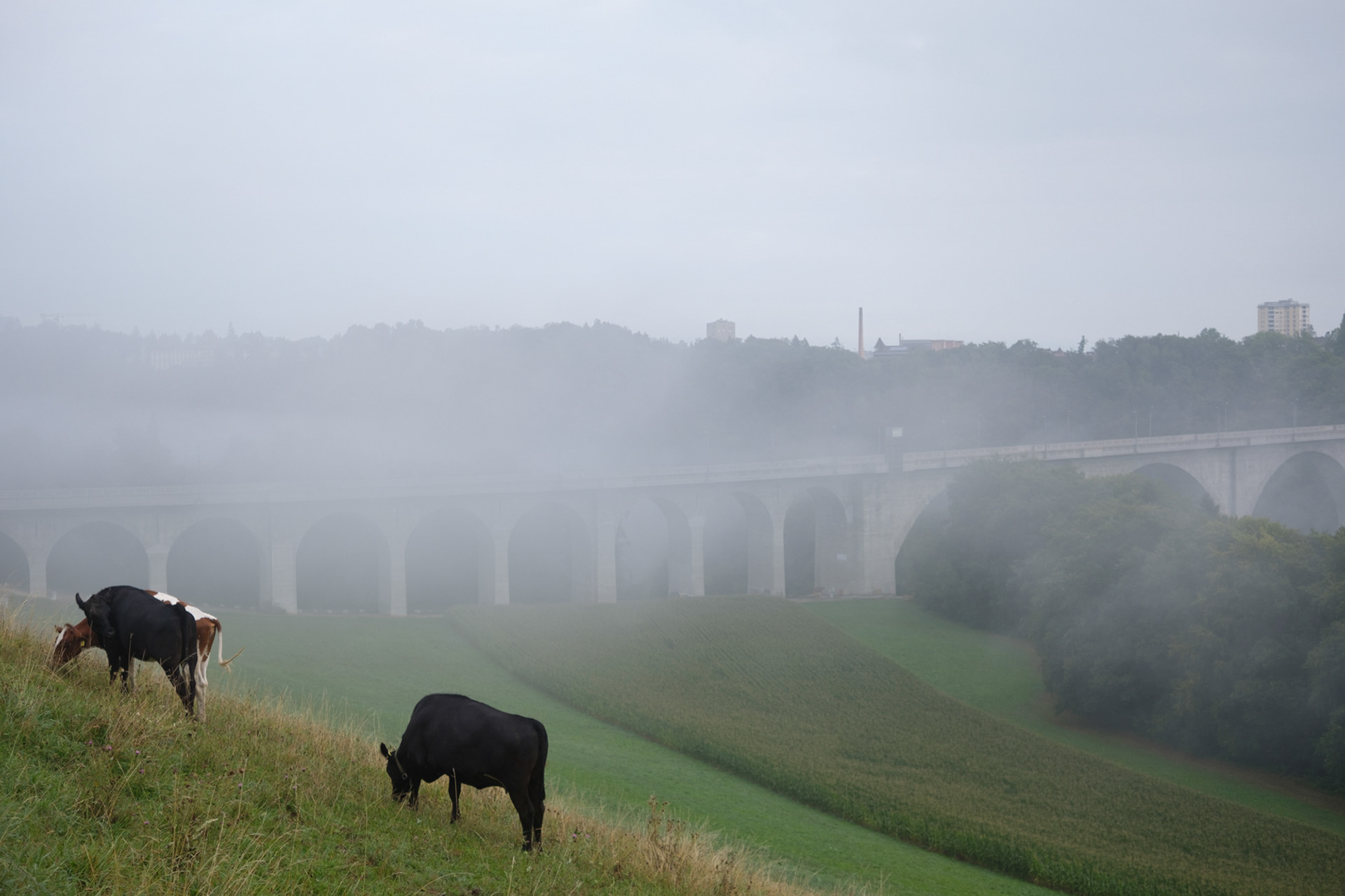 Le pont de Pérolle