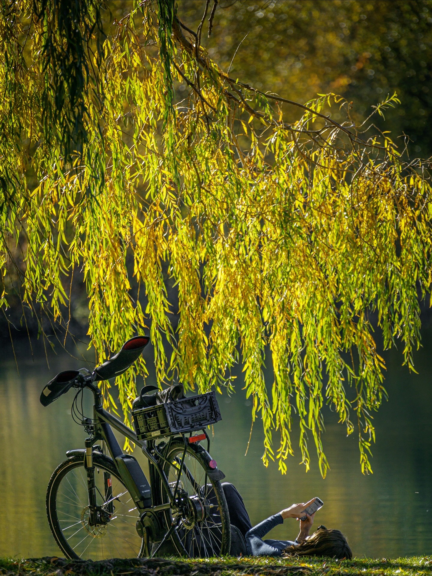 Les îles (Sion - VS)