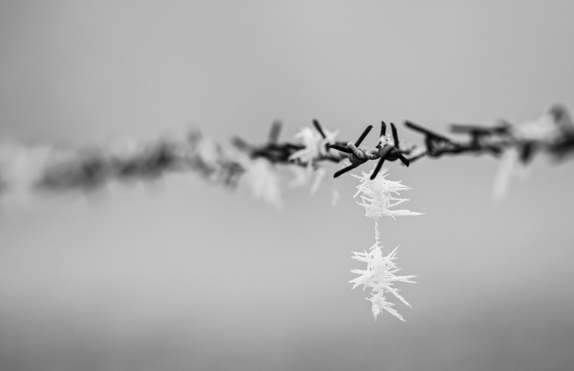 Le froid