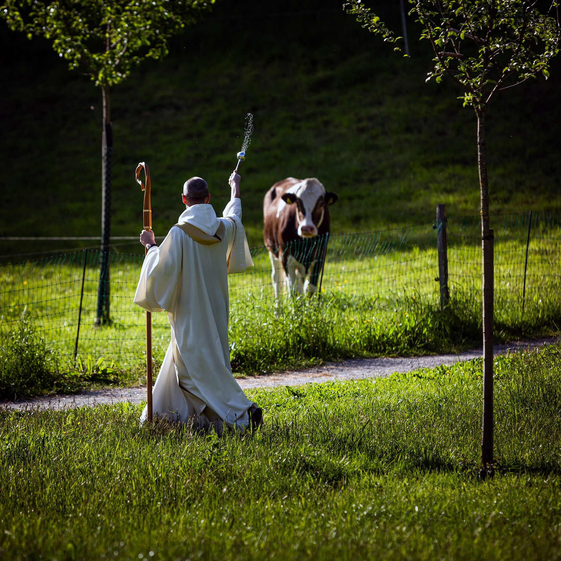 Rencontre au coeur du silence - Abbaye d'Hauterive (FR)