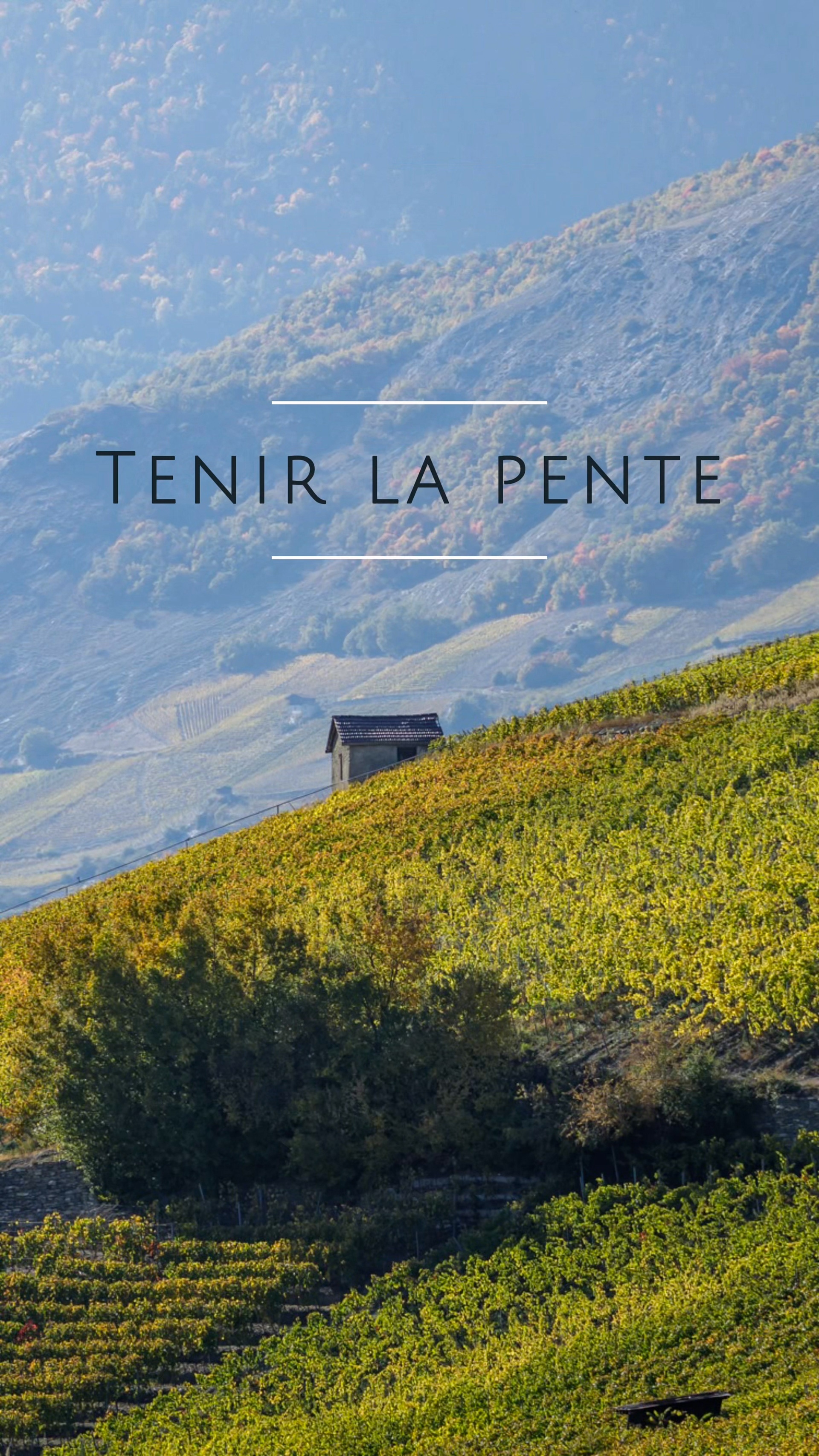 Tenir la pente  - Chapitre 1 La viticulture (extrait)