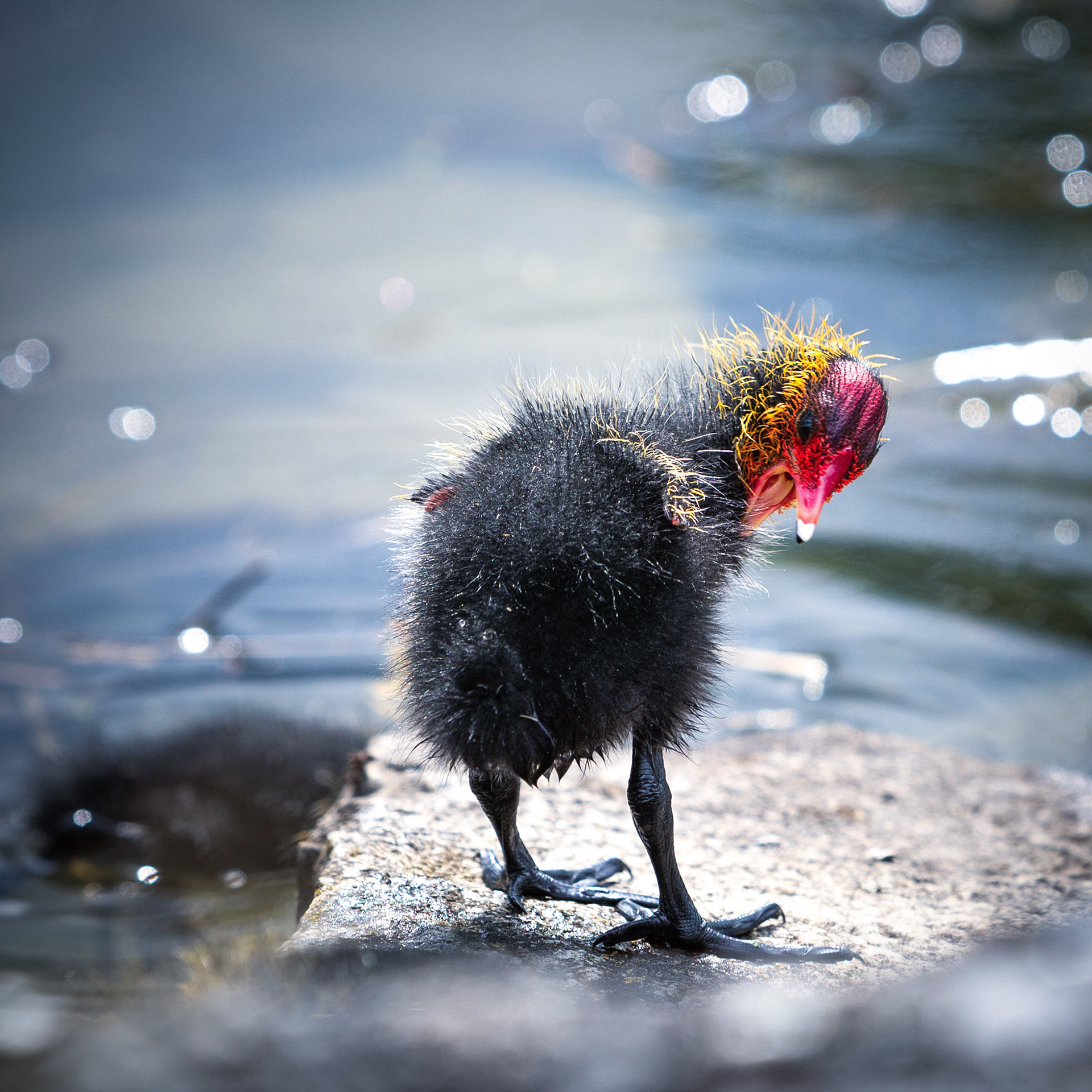 Ce bébé m'a profondément ému et fait rire.